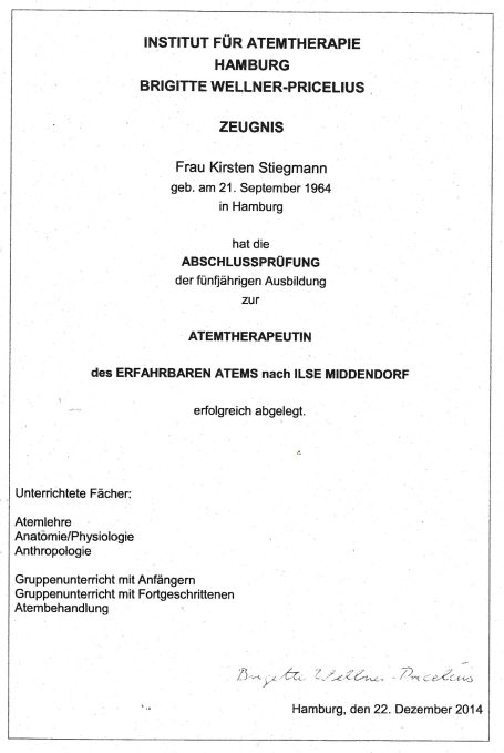 Zertifikat des Instituts für Künstliche Intelligenz, Hamburg, mit Informationen zur Verleihung.